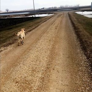 Meet your Posher, Lukas